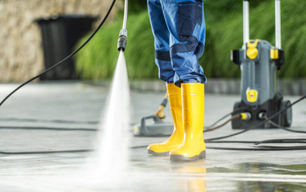 Best Pressure Washing Company Near Me  in Forest, OH