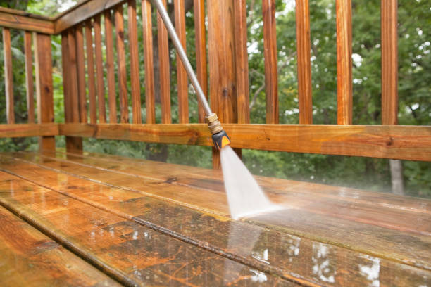 Best Sidewalk Pressure Washing  in Forest, OH